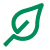 green leaf icon