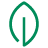 green icon