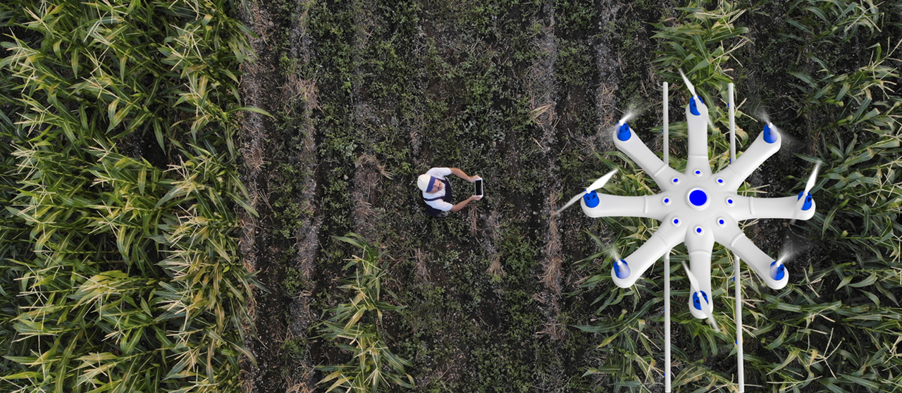 Drone telecomandato vola su un campo coltivato - Enel.it